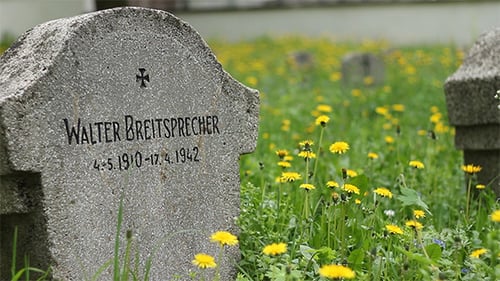 Old Gravestone in Cemetery with Yellow Flowers