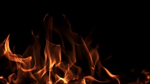 Les langues de la flamme vive