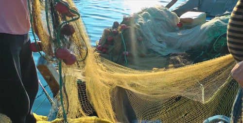 Fishermen and Fishnets