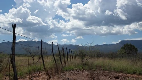 Rustic Fence in a Rural Environment on Sunny Day