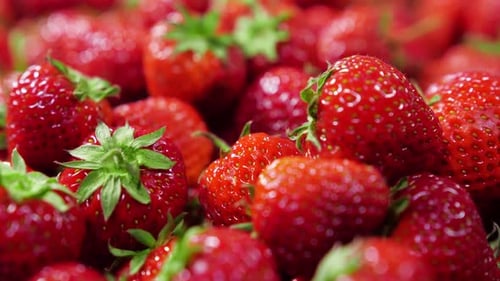 Pile of Ripe Red Strawberries with Green Stems