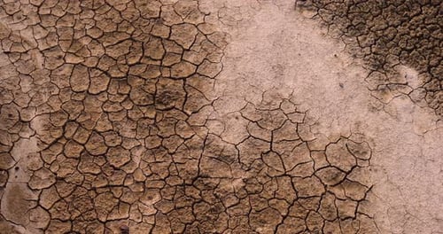 Dry Cracked Earth Parched Landscape