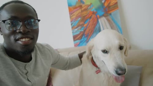 Man Pets Dog on Couch Indoors