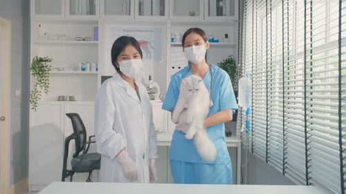 Portrait of veterinarian specialist doctor and assistant working in veterinary pet hospital.