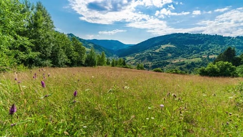 The Sun Over the Synevir Pass of the Carpathian Mountain Ranges