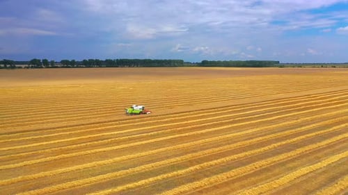 Combine harvester working on a wheat field.