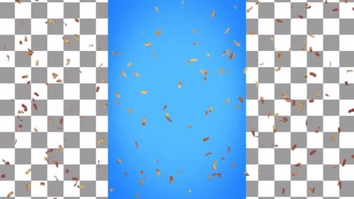 Golden Confetti Falling Celebration Animation
