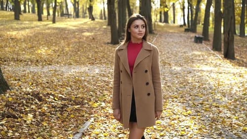 The Charming Girl Walks in the Sunny Autumn Park and Admires the Nature