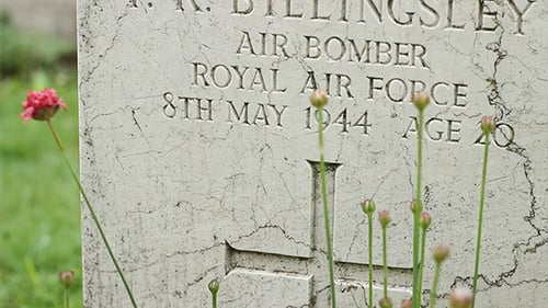 Close Up of War Grave Stone and Flowers