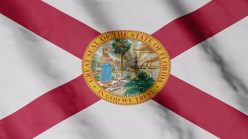 Realistic Florida State Flag Waving Background Animation