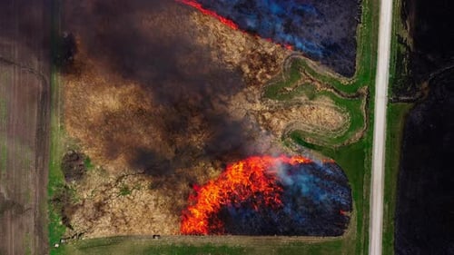 Prescribed burns