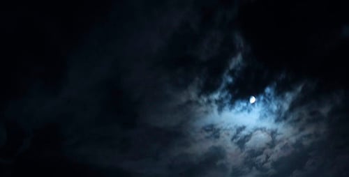 Full Moon Shines Brightly in the Night Sky