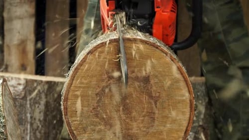Person Cutting Log with Chainsaw