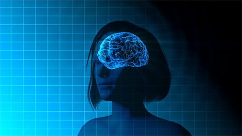 Female Brain Activity