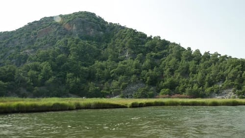 Mountain With Trees On The Dalyan River