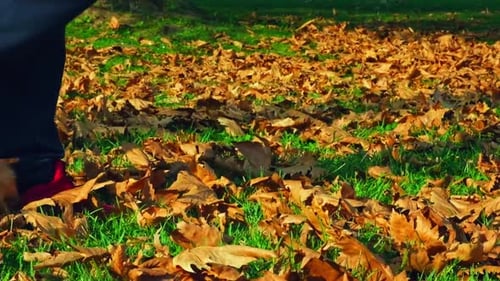 Person Walks Through Fallen Leaves in Autumn