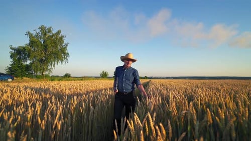 Farmer Walking Through Wheat Field at Sunset