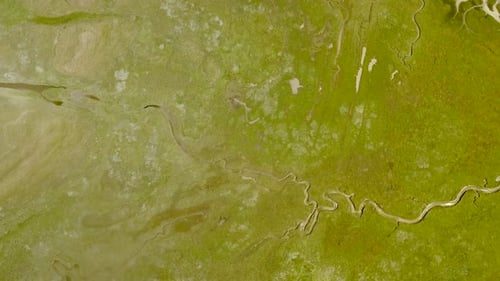 Abstract aerial view of wetlands landscape in the Netherlands.
