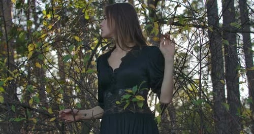 Slim Brunette Caucasian Girl with Brown Eyes Standing in the Forest in the Evening and Looking Up