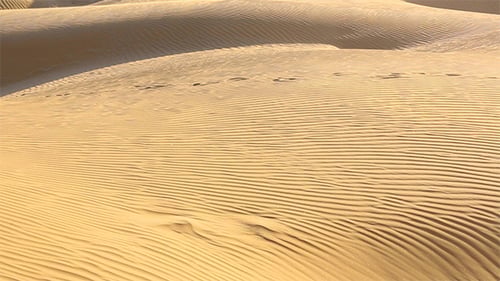 Wind Carved Sand Dunes in Arid Desert