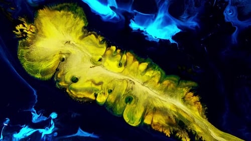 Abstract Yellow and Blue Fluid Motion