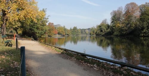Lake in Autumn Park
