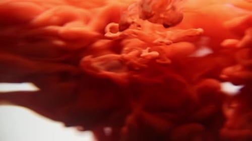 Red Ink Cloud Diffuses Into Clear Liquid