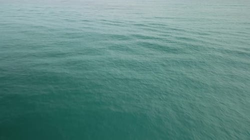 Sail Over The Sea Waves