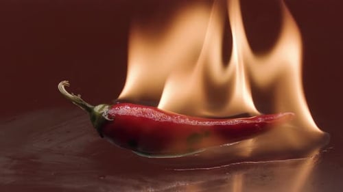 Fiery Red Chili Pepper Burning Brightly