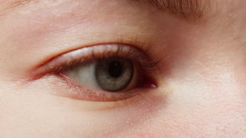 Extreme Close-up of a Hazel Eye