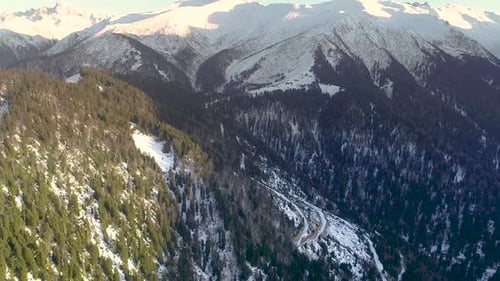 Mountains and Forest
