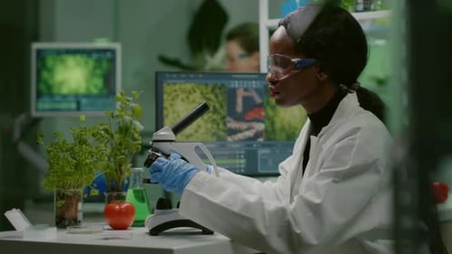 Scientist Uses Microscope in Modern Laboratory