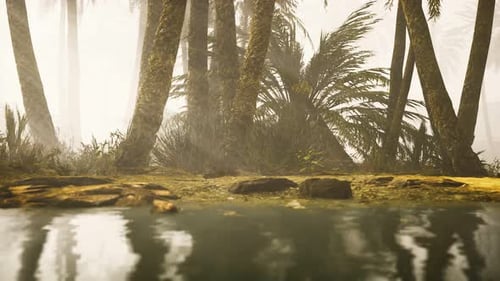 Misty Palm Tree Forest with Tranquil Water Reflection