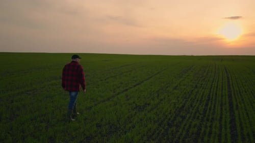 Farmer Walking Through Field at Sunset