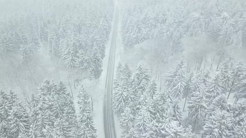 AERIAL: Flight Over Beautiful White Snow Forest Street in German Forest Taunus, Winter Snow