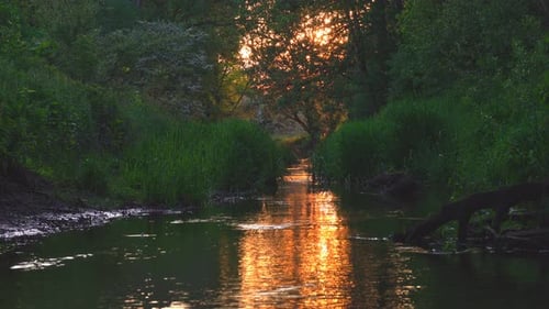 River