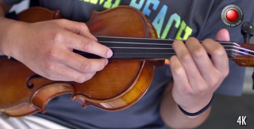 Violin 3