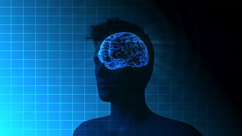 Animated Glowing Brain in Human Head with Digital Grid
