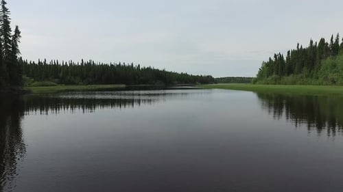 Lake surrounded by forest