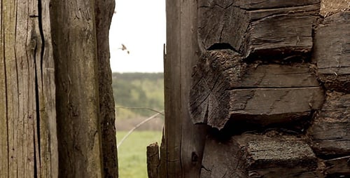 Old Wooden Fence with Weathered Texture