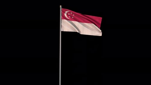 Realistic Singapore Flag Waving Animation