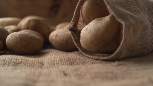 Potatoes in a burlap bag. Slow Motion.