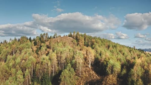Green Forest at Mountain Top Aerial