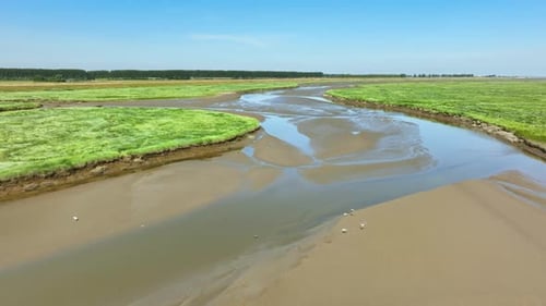 Spectacular aerial shot flying over a muddy river flowing through green wetlands towards the horizon