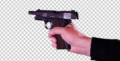 Shot From The Gun