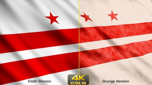Waving Washington D.C. Flag Seamless Loop Clean and Grunge