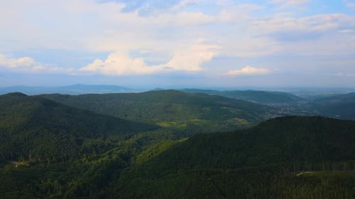 Aerial view of mountain hills covered with dense green lush woods on cloudy evening.