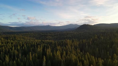 Flying over a forest in Oregon