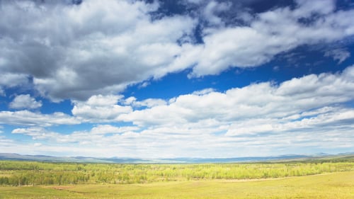 Wide Panorama of Field, Forest, and Dramatic Sky