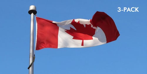 Canadian Flag Waving on a Pole in the Wind